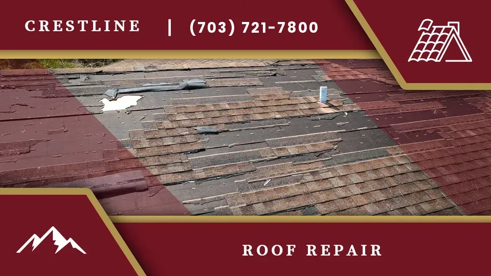 roof-repair-va